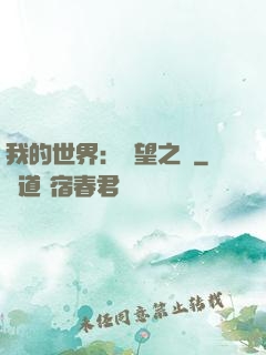 我的世界：終望之巔